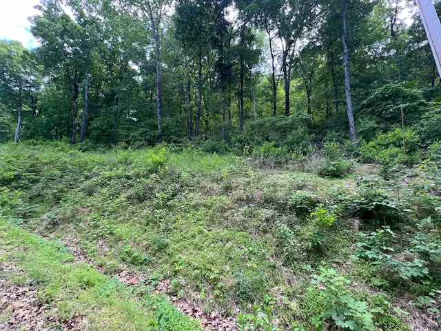 6 Wildcat Drive, Holiday Island, AR 72631 - #3