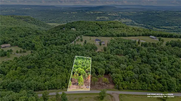 00 Norris Lane, Atkins, AR 72823