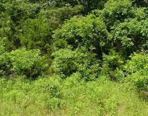 21240 Pine Drive, Garfield, AR 72732 - #3