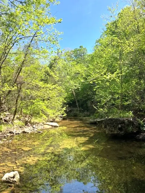 Wilderness Spring Trail., Harrison, AR 72601 - #1