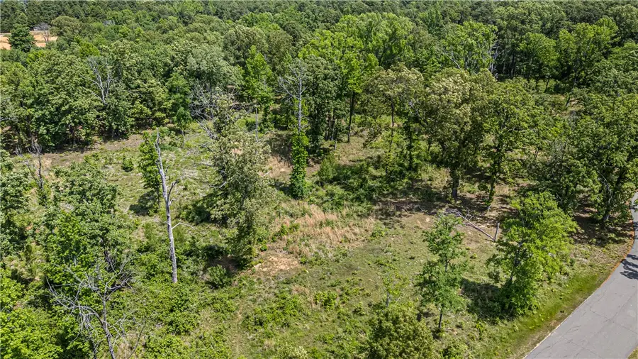 Lot 13 Galaxy Lane, London, AR 72847 - #2