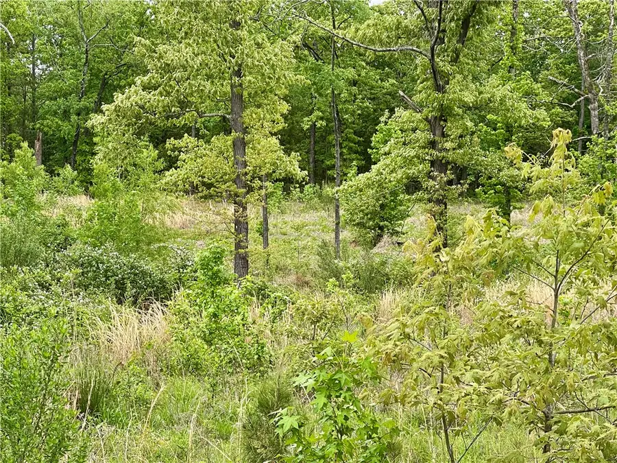 Lot 13 Galaxy Lane, London, AR 72847 - #3
