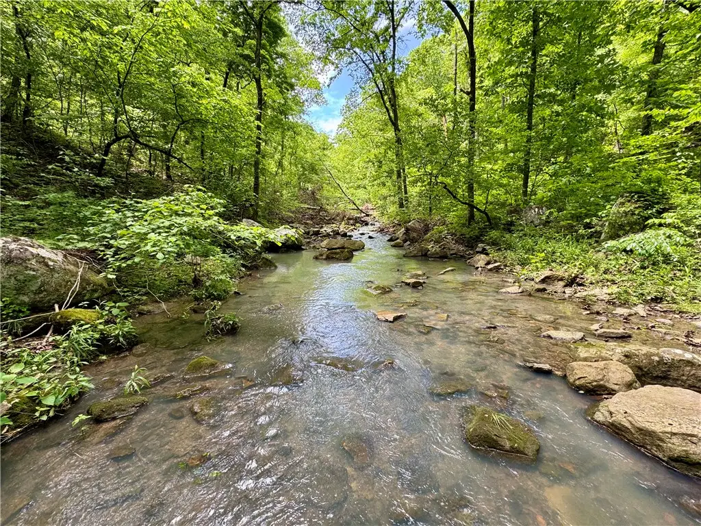 TBD N Hwy 59, Natural Dam, AR 72948 - #1