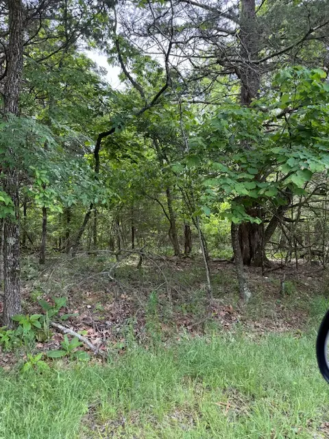Lot 67 Rocky Ridge Place, Rogers, AR 72732