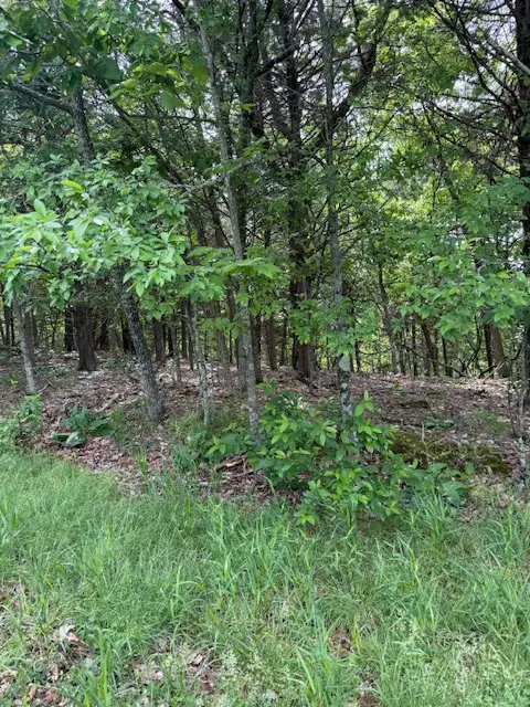 Lot 67 Rocky Ridge Place, Rogers, AR 72732 - #3
