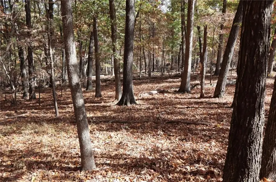 Sweet Pea Lots 772-785 Sweet Pea Drive, Rogers, AR 72756 - #3