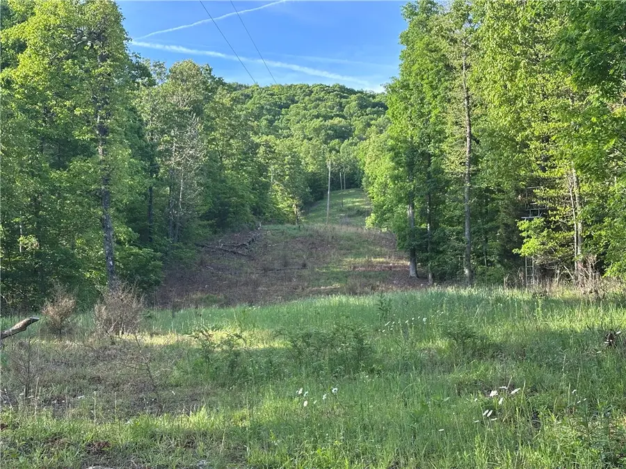 TBD CR 935, Alpena, AR 72611 - #3