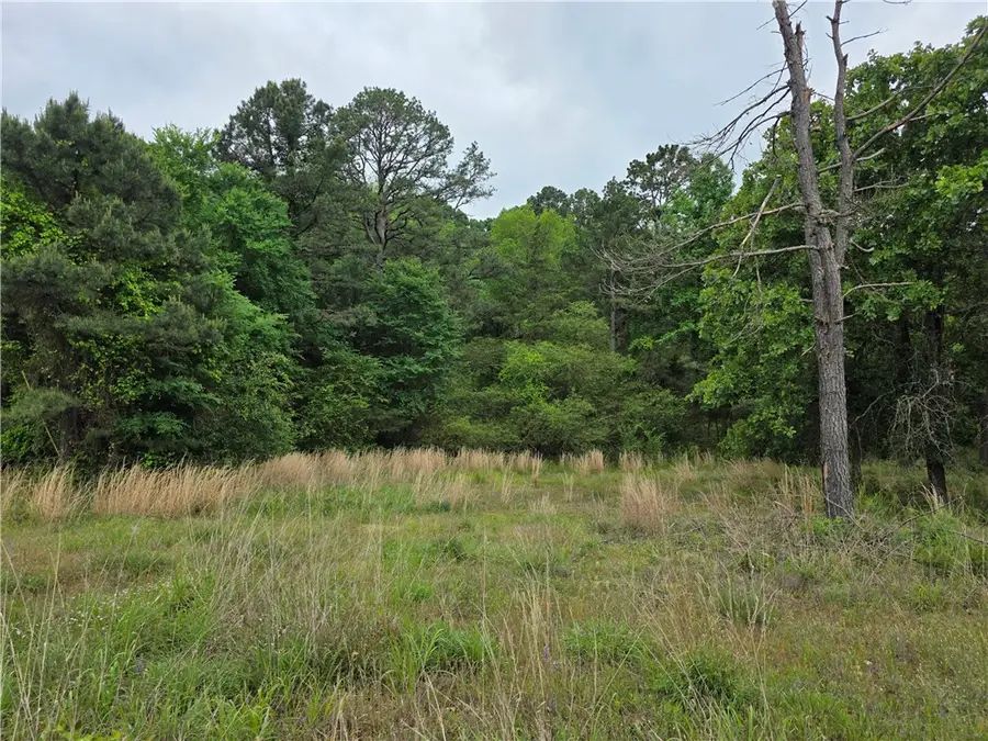 Linker Mountain, Dover, AR 72837 - #2