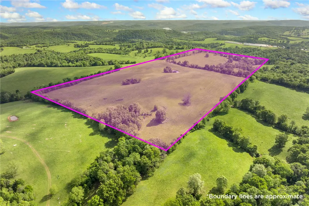 706 County Road 650, Green Forest, AR 72638 - #1