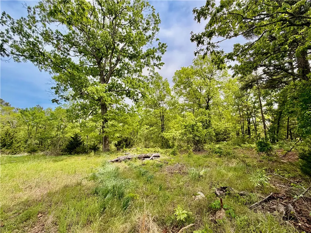 52 County Road 117, Eureka Springs, AR 72631 - #1