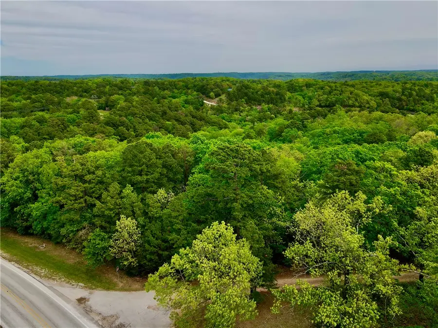 52 County Road 117, Eureka Springs, AR 72631 - #2