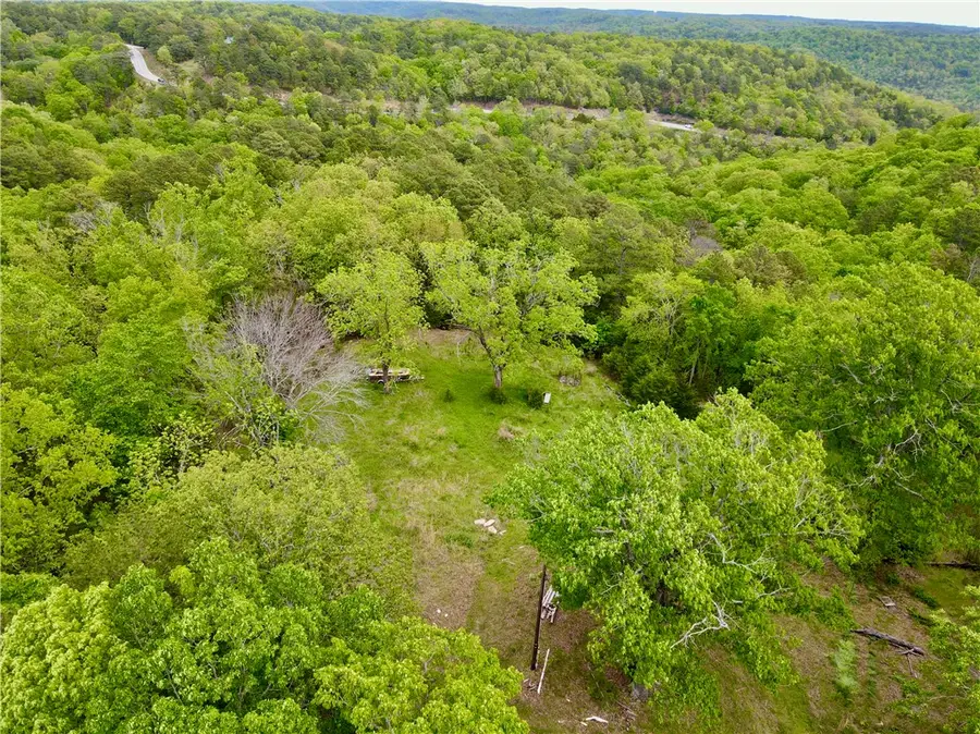 52 County Road 117, Eureka Springs, AR 72631 - #3