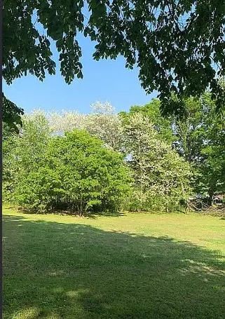 0.81AC N College Street, Huntsville, AR 72740 - #2