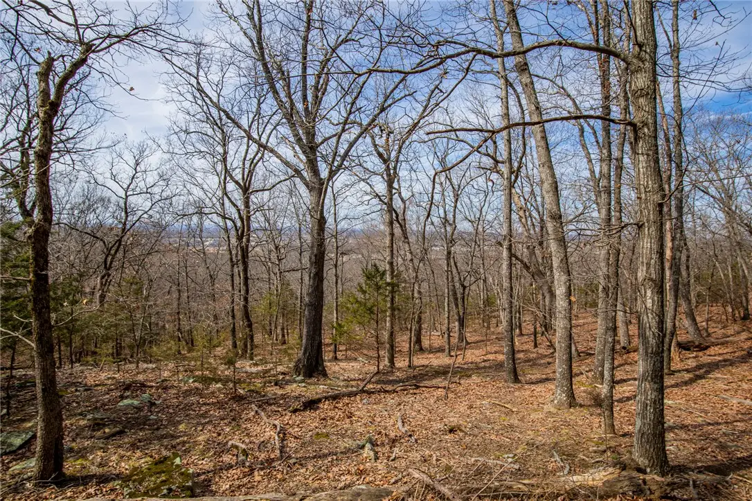 Dinsmore Trail, Fayetteville, AR 72701 - #1