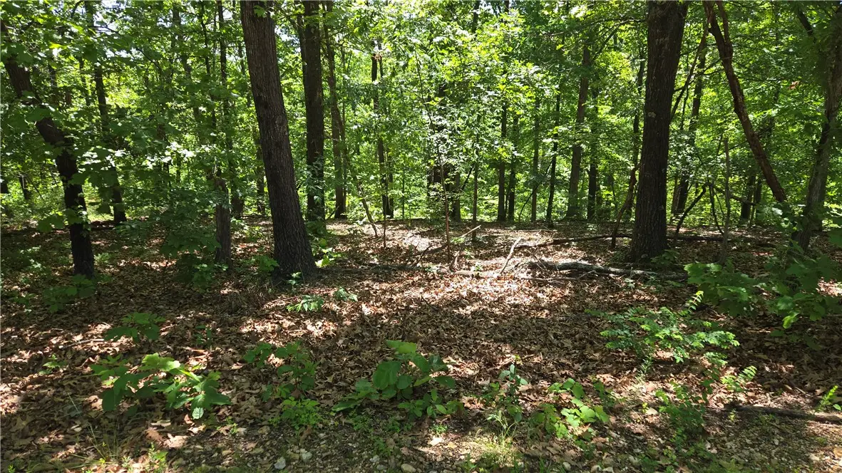 Tummell Drive, Bella Vista, AR 72715 - #1
