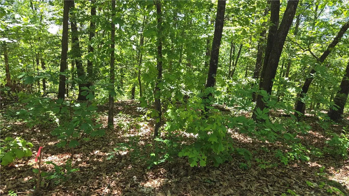 Tummell Drive, Bella Vista, AR 72715 - #1