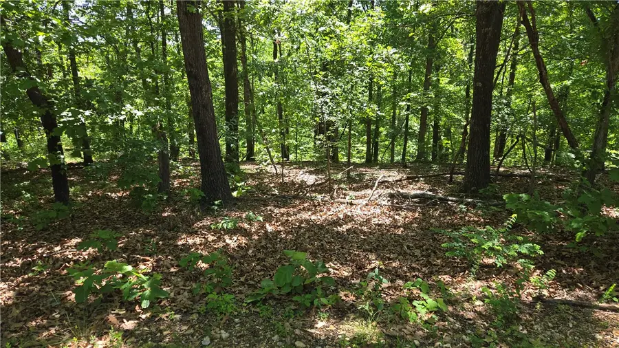 Tummell Drive, Bella Vista, AR 72715 - #2