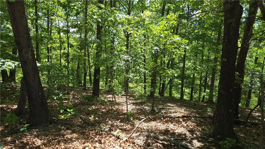Tummell Drive, Bella Vista, AR 72715 - #3