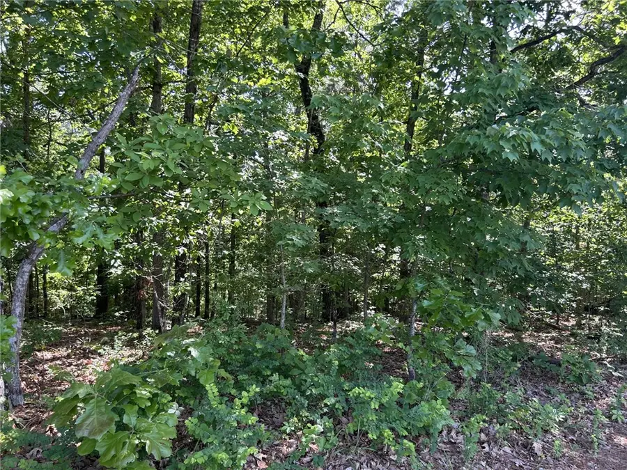 1 Pulham Road, Bella Vista, AR 72714 - #2