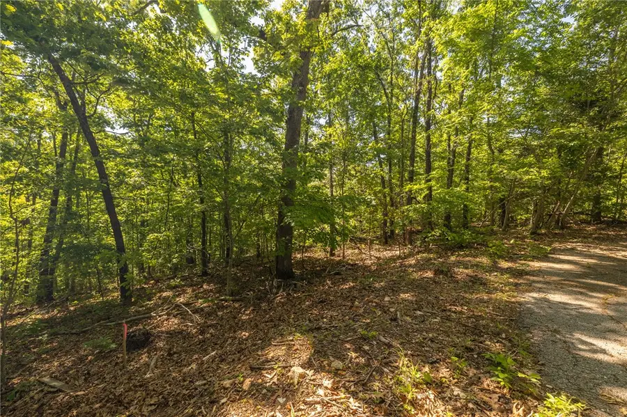 TBD Leith Lane, Bella Vista, AR 72715 - #3