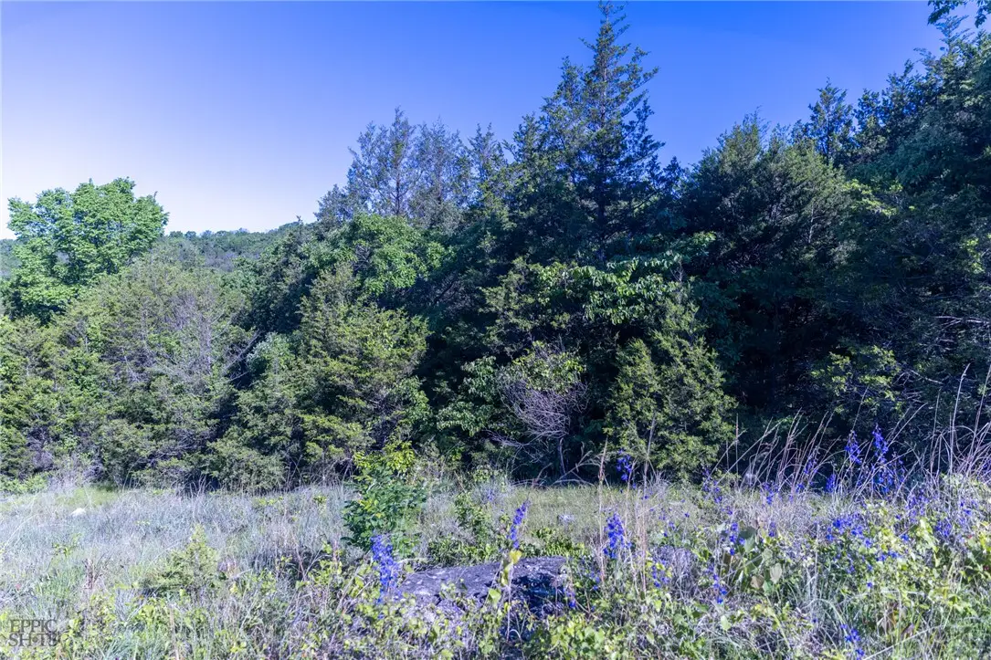 Hwy 246, Berryville, AR 72616 - #1