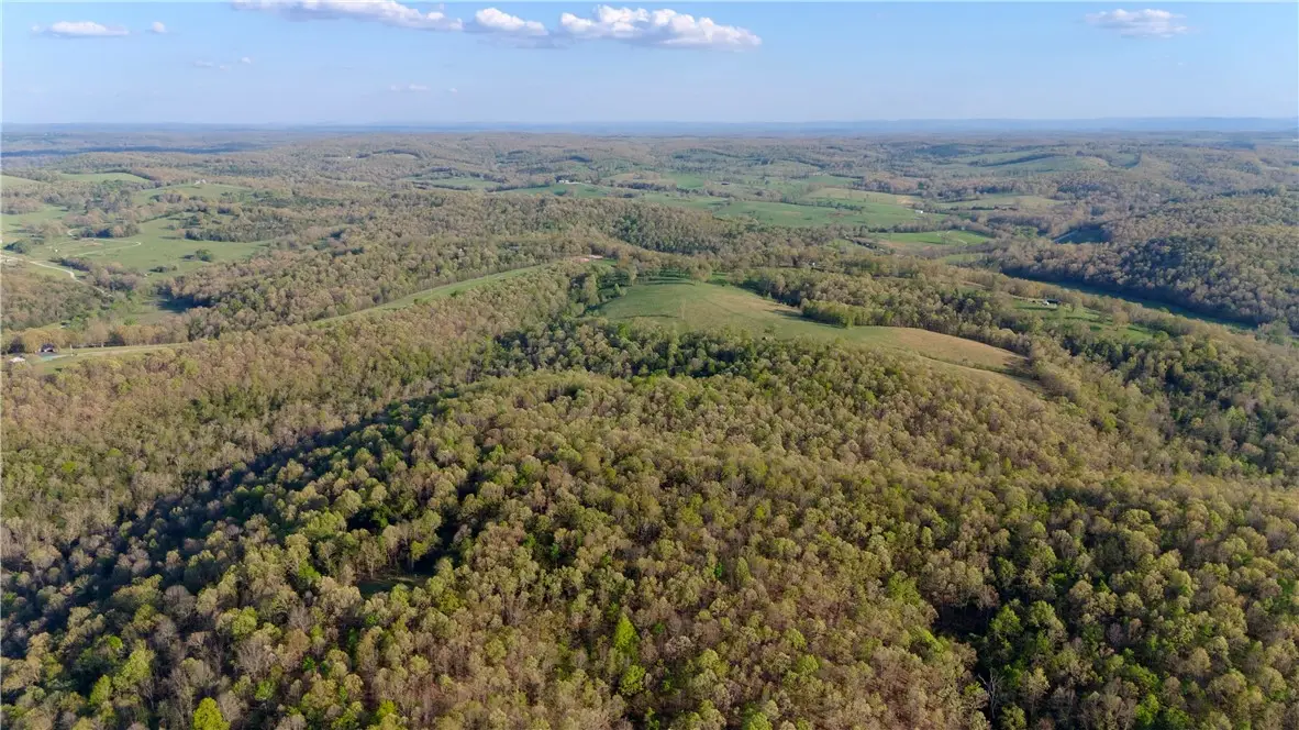 0000 Mc 4048, Yellville, AR 72687 - #1