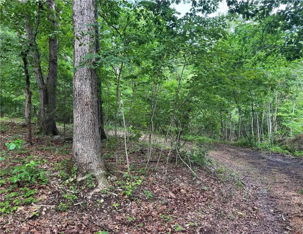 TBD Lots 2,3,4 Diana Lane, Bella Vista, AR 72715 - #1