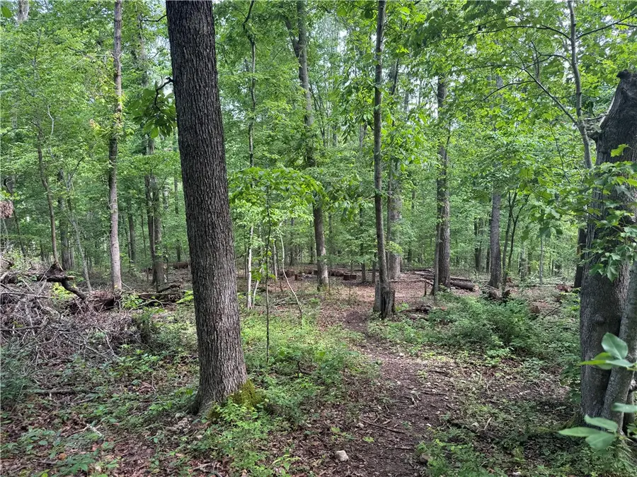 TBD Lots 2,3,4 Diana Lane, Bella Vista, AR 72715 - #2
