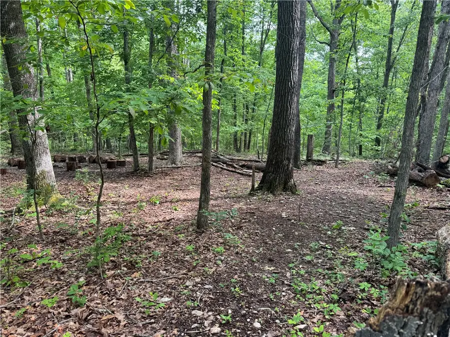 TBD Lots 2,3,4 Diana Lane, Bella Vista, AR 72715 - #3