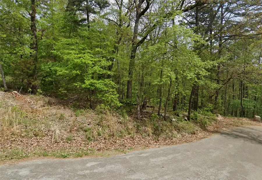 Lot 3 Feltwell Lane, Bella Vista, AR 72714 - #2
