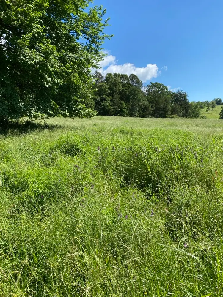 2 Acres on Melton Road, Briggsville, AR 72828 - #1