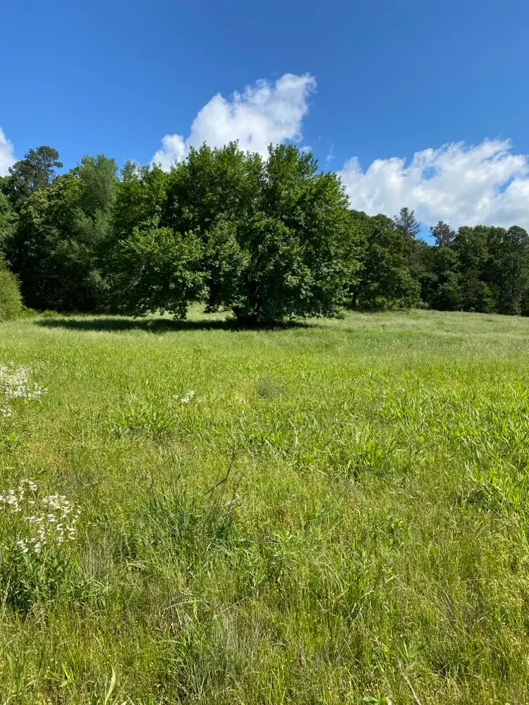 2 Acres on Melton Road, Briggsville, AR 72828 - #3