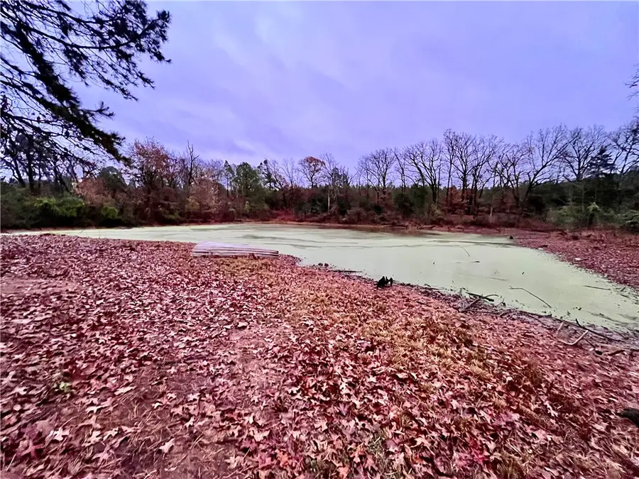840 Miller Road, Ola, AR 72853 - #3