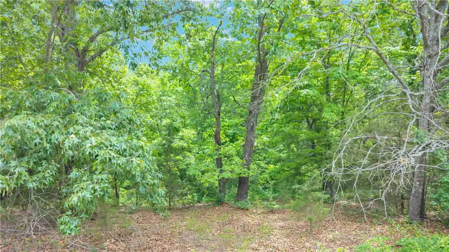 Cardinal Wc 2153 Lane, Fayetteville, AR 72704 - #3