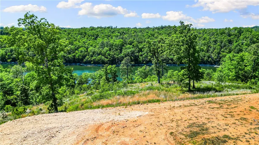 17.1 Acres Knabenschuh Drive, Garfield, AR 72732 - #3
