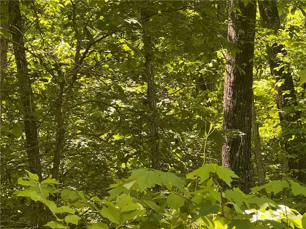 Terrapin Road, Harrison, AR 72601