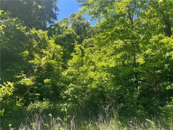 Terrapin Road, Harrison, AR 72601