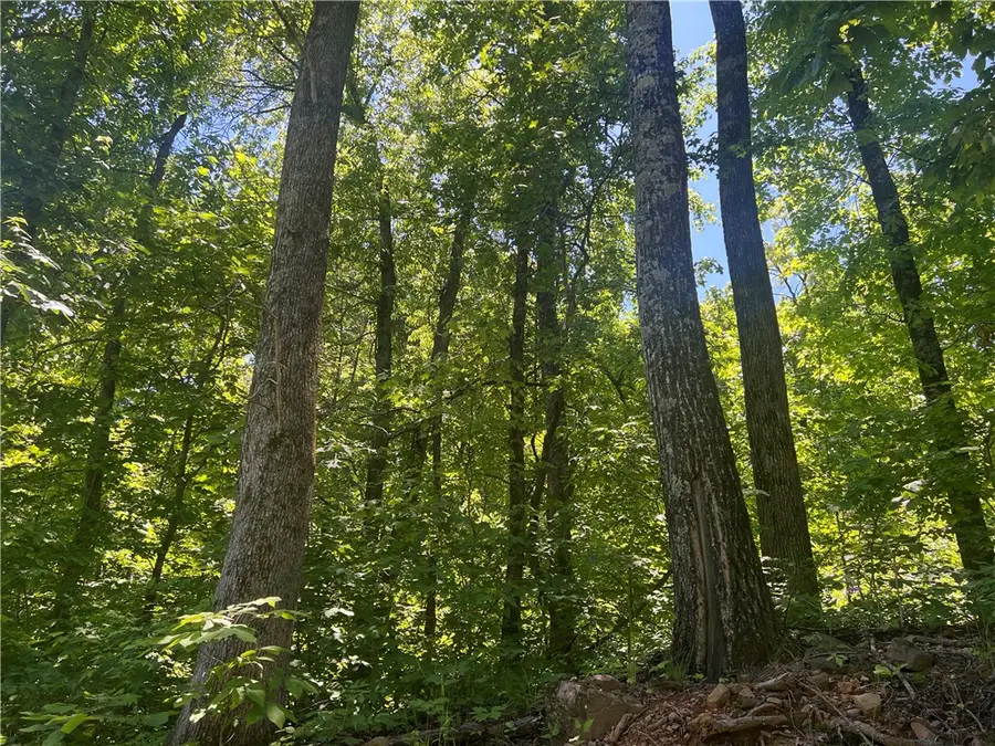Terrapin Road, Harrison, AR 72601 - #2