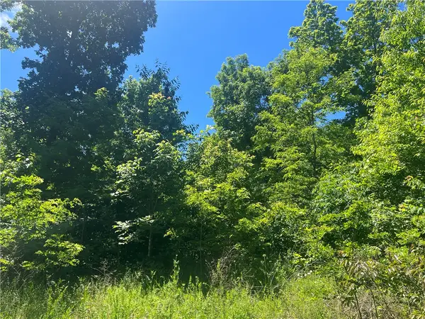 Terrapin Road, Harrison, AR 72601