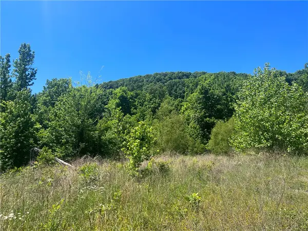 Terrapin Road, Harrison, AR 72601