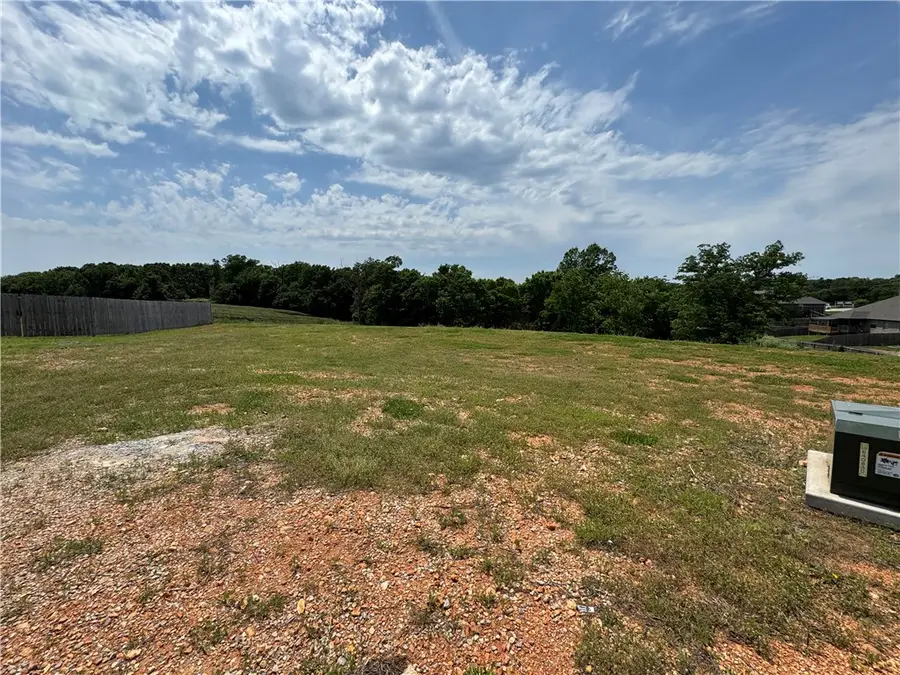 2100 Brown Bear Lane, Gentry, AR 72734 - #3