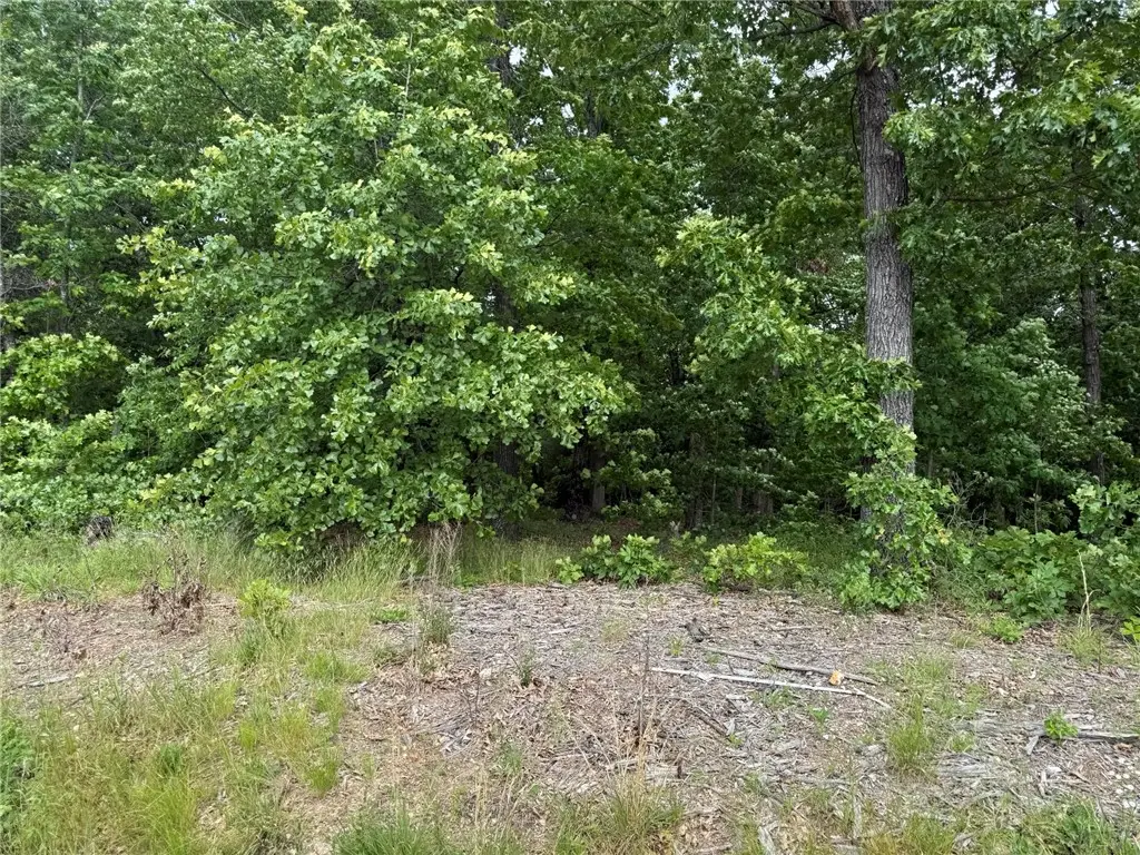 TBD Hythe Lane, Bella Vista, AR 72714 - #1