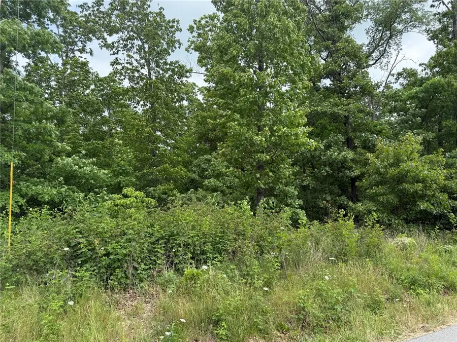 TBD Hythe Lane, Bella Vista, AR 72714 - #2