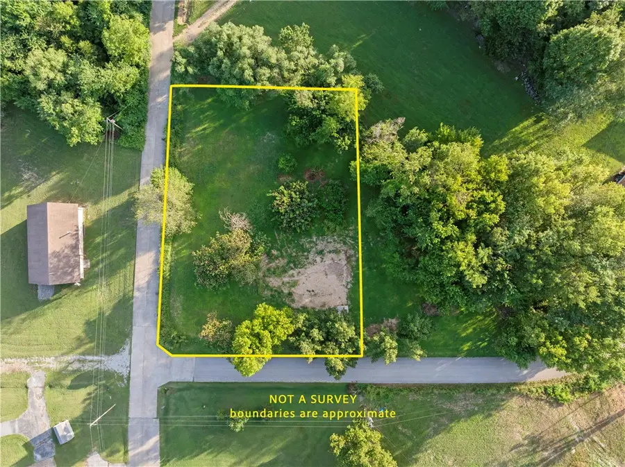 101 Circle Drive, Lead Hill, AR 72644 - #2