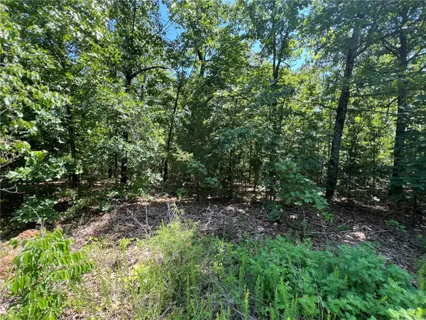 TBD Saddle View Drive, Yellville, AR 72687