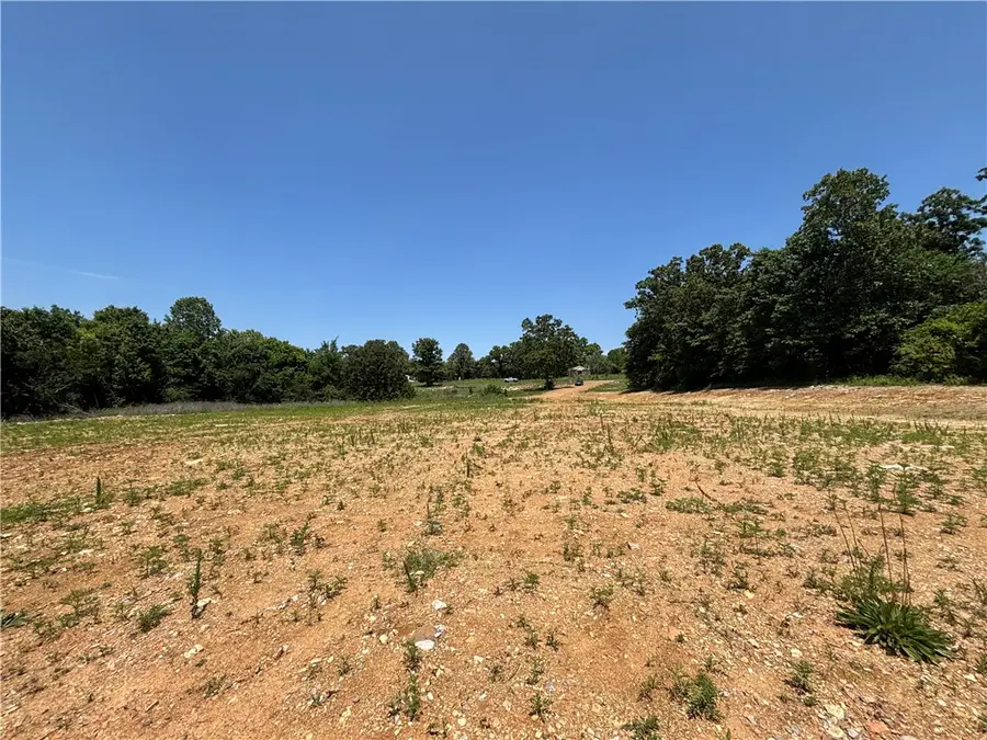 001-07835-001 Hwy 5 N, Mountain Home, AR 72653 - #3