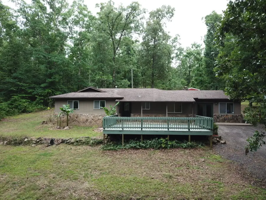 10157 Muscadine Lane, Danville, AR 72833 - #2