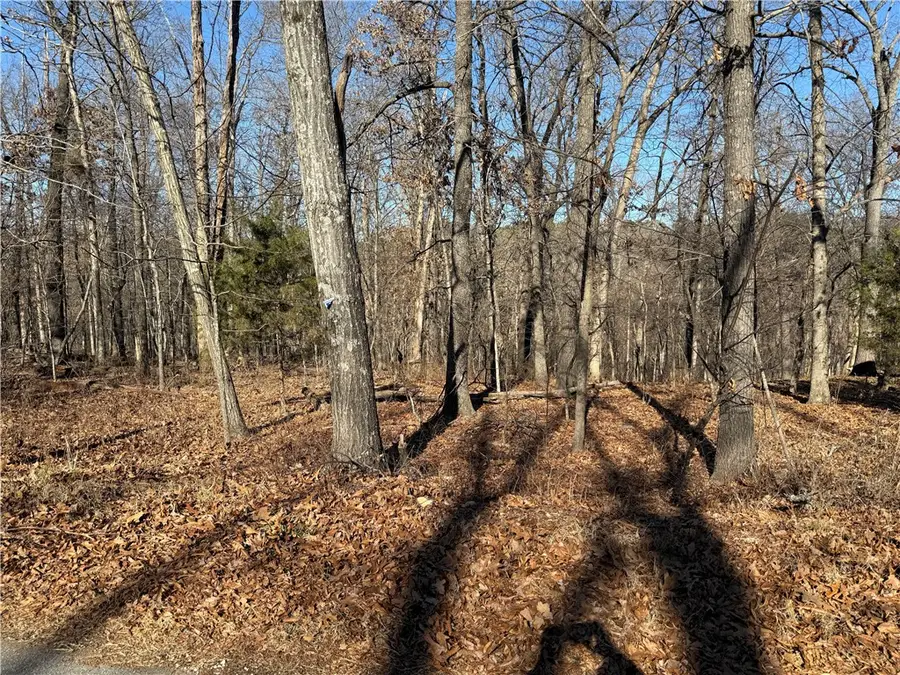 Lot 10 Westbury Drive, Bella Vista, AR 72714 - #2