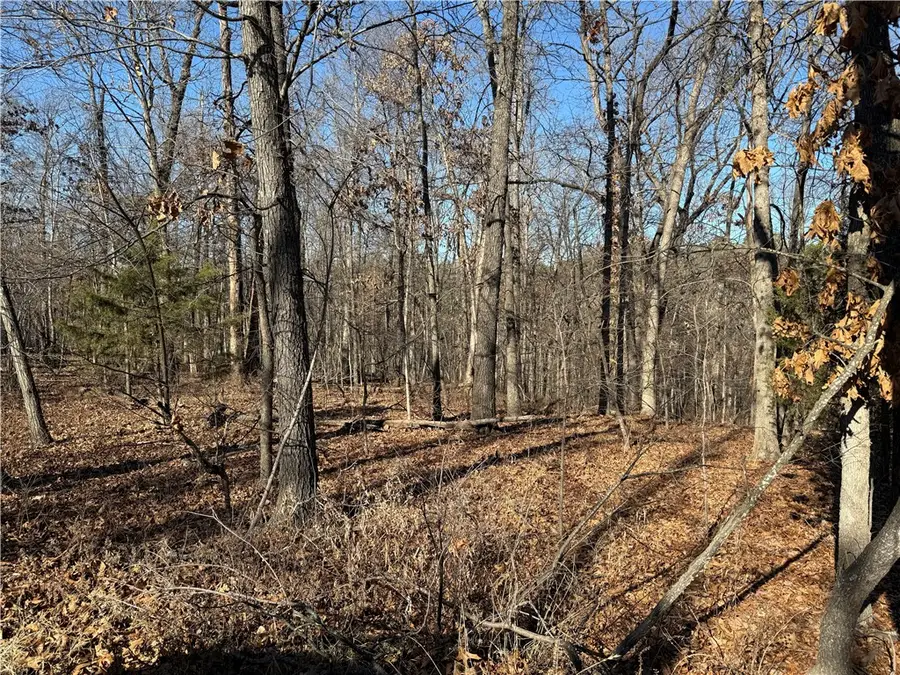 Lot 10 Westbury Drive, Bella Vista, AR 72714 - #3