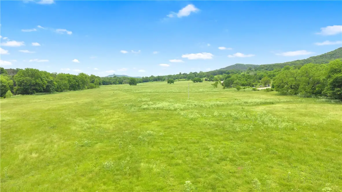 TBD Cr-425, Berryville, AR 72616 - #1